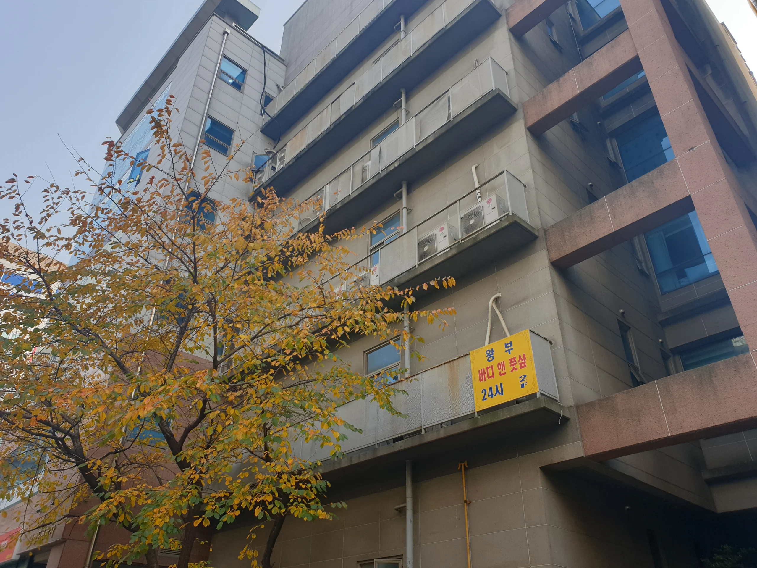 하수구막힘원인 현장 사진